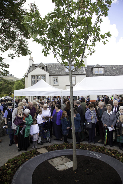 Queens Tree Luss 94